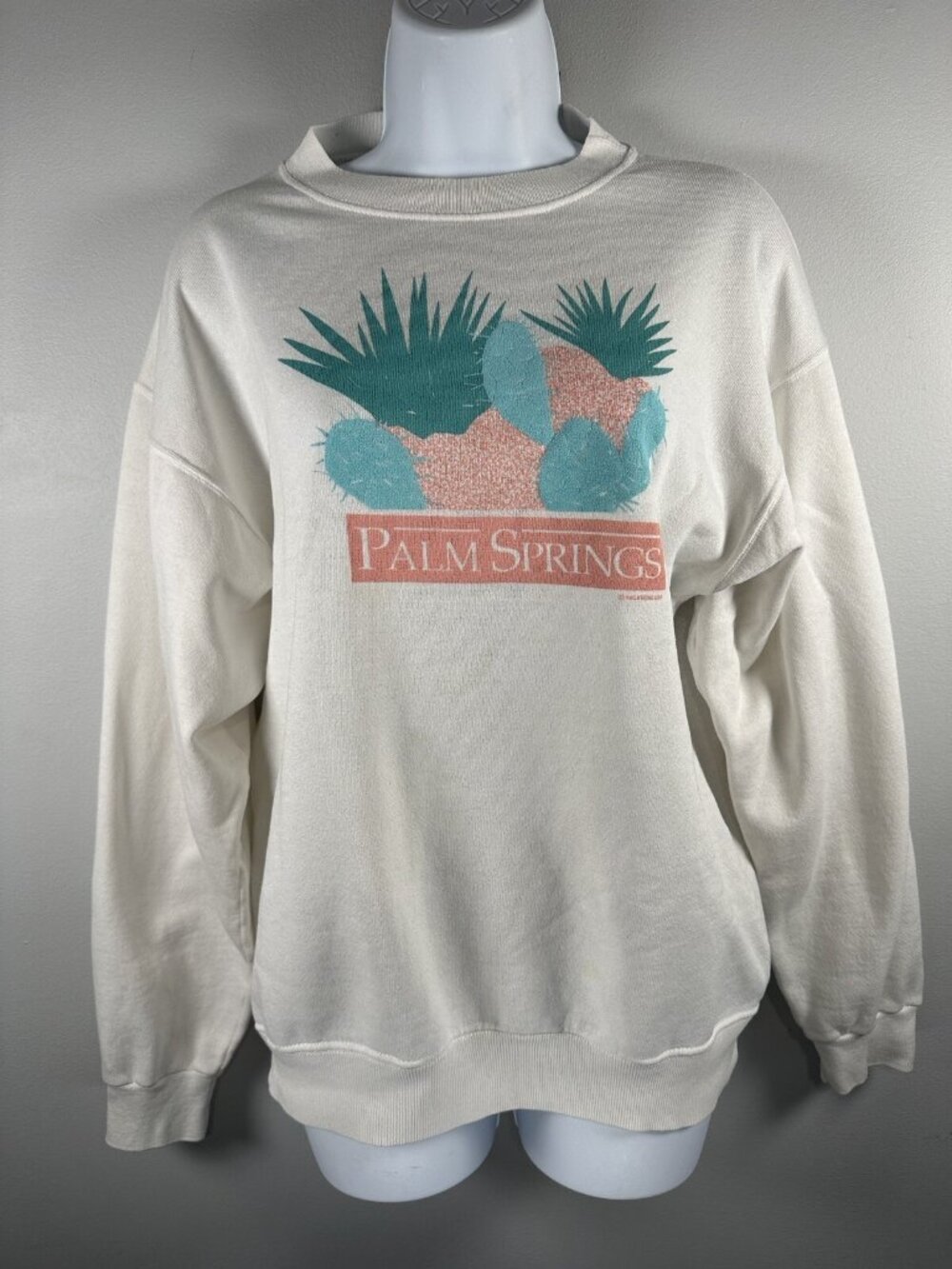 HANES Vintage Large Sweatshirt Palm Springs Pastel Graphic White USAโ Desert CA